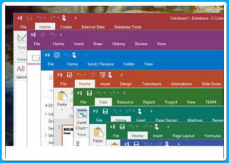 Microsoft Office-Professional 2016 Pro plus 2016 voor Vensters met 3,0 USB