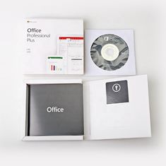 Bureau Pro 2019 plus zeer belangrijke Professionele retailbox van Microsoft Office 2013 van de installatie100% activering